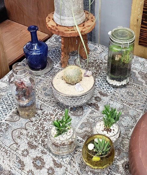 Handmade small sized terrariums. - Picture 2 of 3